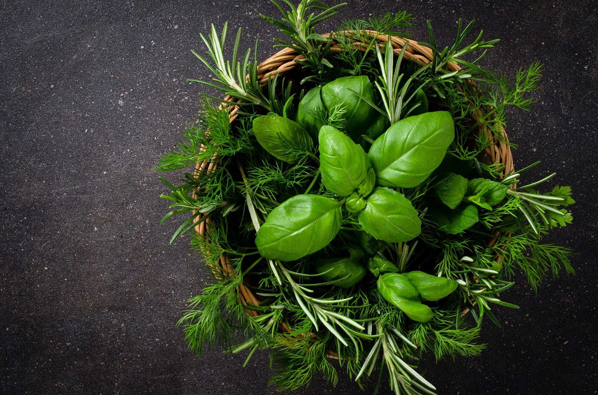 Fresh herbs growing densely in a garden